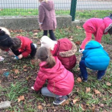 Journal de bord du potager COURREGE