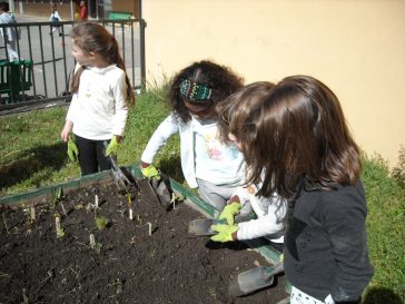 On plante les semis dans les palocs