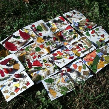 Défi n°3 : La palette de couleur du printemps