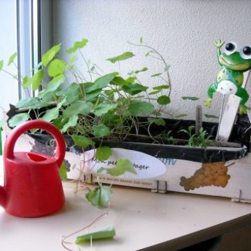 Les plantes ont bien poussé