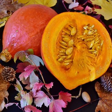 Se préparer un stock de graines de courges.