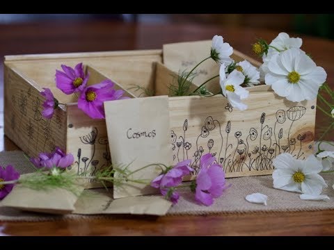 Concours : boîtes à graines