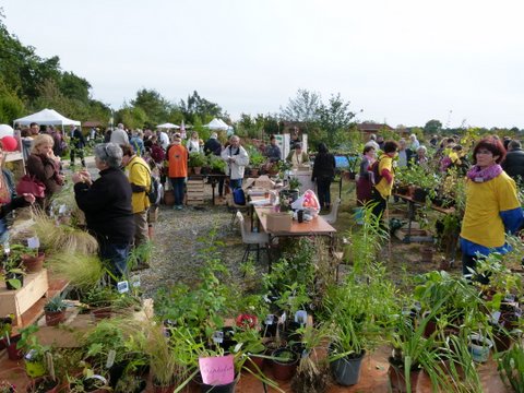 Vide jardin à Tournefeuille