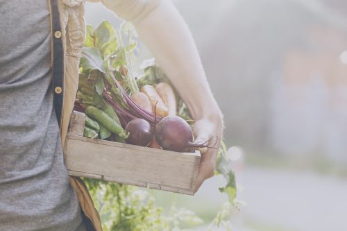 Que faire au jardin en Mars ?