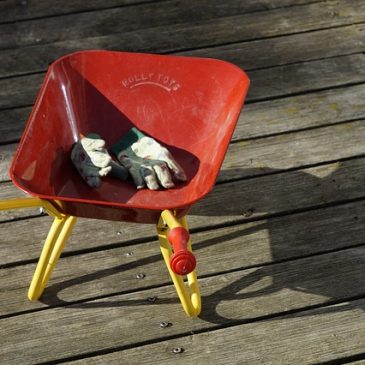 Que faire au jardin en novembre ?