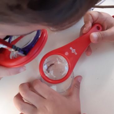 Sensibilisation à la réduction et au tri des déchets // offre d&rsquo;animations Toulouse Métropole