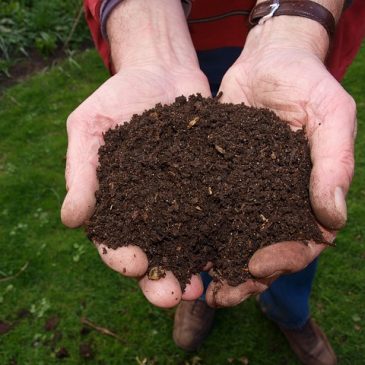 Vous reprendrez bien un peu de compost ?