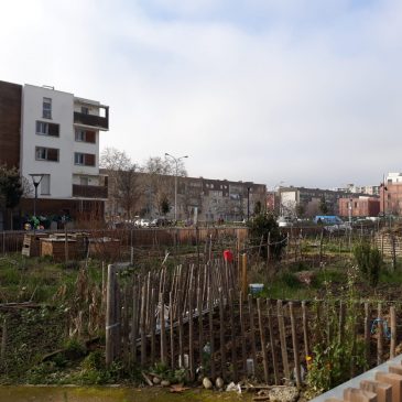 Les jardins partagés vous connaissez ?